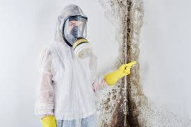 Mold Remediation for Rental Properties in Galt, CA